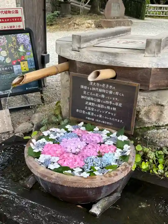 深大寺(東京都)