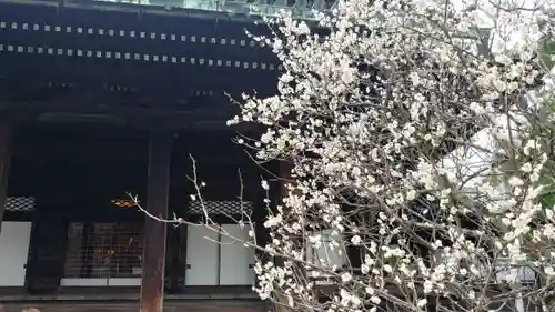 知恩院のその他建物