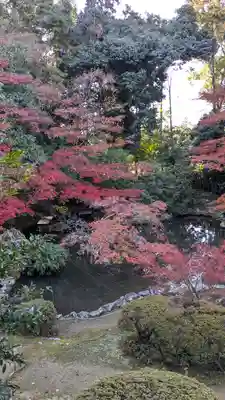 隨心院（随心院）(京都府)