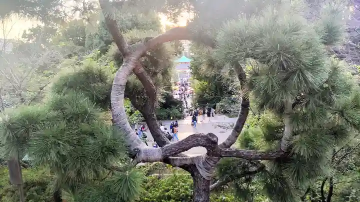 清水観音堂(東京都)