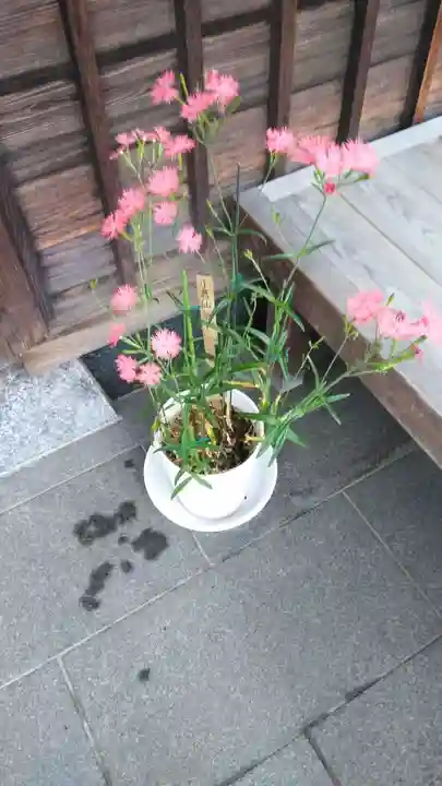 妙蓮寺(神奈川県)