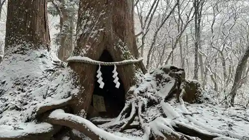戸隠神社九頭龍社(長野県)