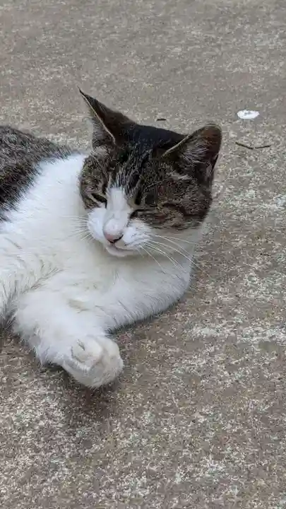 玉野御嶽神社の動物