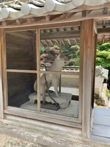 法楽寺の狛犬