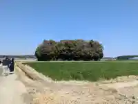 朽羅神社(皇大神宮摂社)の{uncategorized: "未分類", other: "その他", undefined: "問題あり", building: "その他建物", grave: "お墓", sacred_gate: "鳥居", guardian: "狛犬", statue: "像", buddha: "仏像", history: "歴史", nature: "自然", garden: "庭園", animal: "動物", pagoda: "塔", temizu: "手水舎", mountain_gate: "山門・神門", sanctuary: "本殿・本堂", subordinate: "末社・摂社", art: "芸術", scenery: "景色", jizo: "地蔵", ema: "絵馬", goshuin: "御朱印", omikuji: "おみくじ", items: "授与品その他", amulet: "お守り", goshuincho: "御朱印帳", eats: "食事", festival: "お祭り", votive_dance: "神楽", shichigosan: "七五三参", wedding: "結婚式", experience: "体験その他", initially: "初詣", around: "周辺", anti_infection: "感染症対策"}