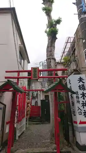 夫婦木神社の鳥居