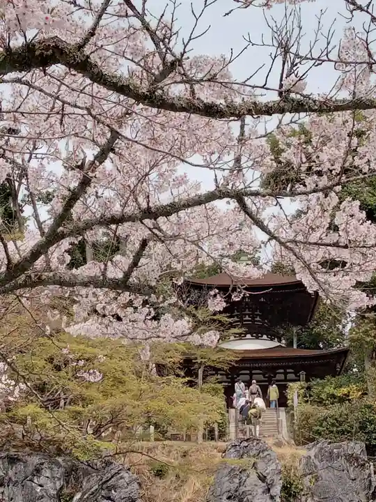 石山寺(滋賀県)