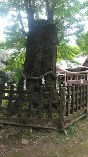 大元神社（宇佐神宮奥宮）の自然