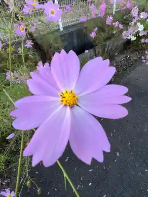 天満神社(滋賀県)