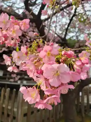 新宿下落合氷川神社(東京都)