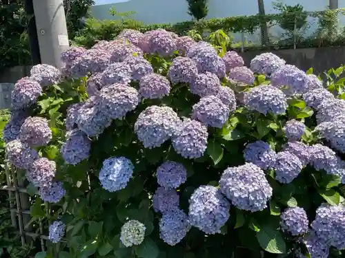 最勝寺教学院の自然