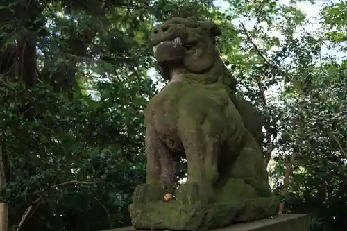 愛宕神社の狛犬