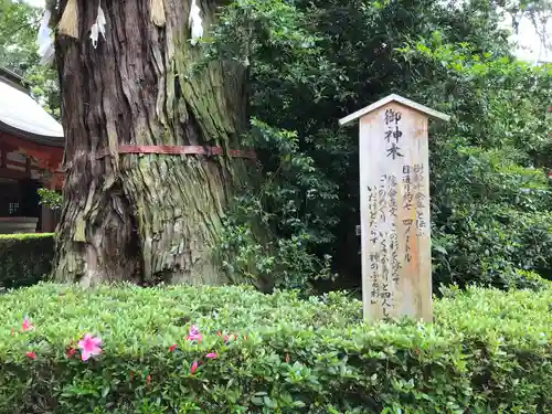 香取神宮の自然