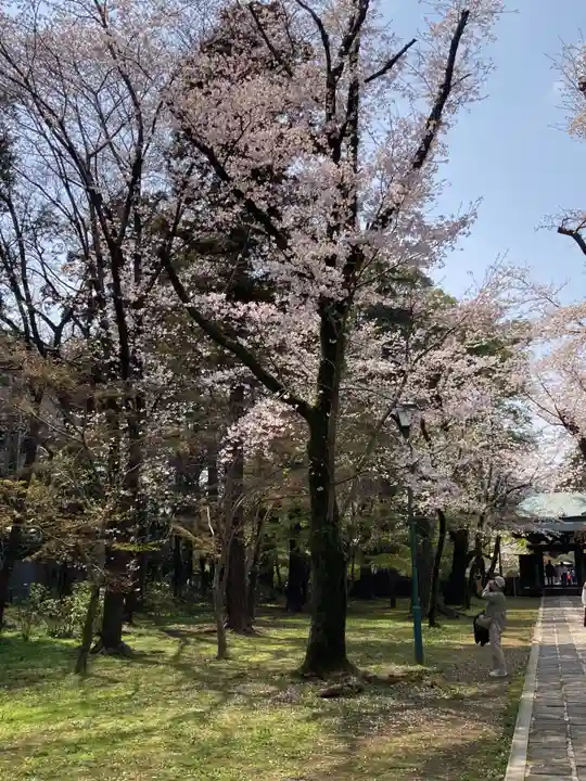 東漸寺(千葉県)