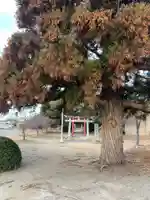 高皇産靈神社(千葉県)