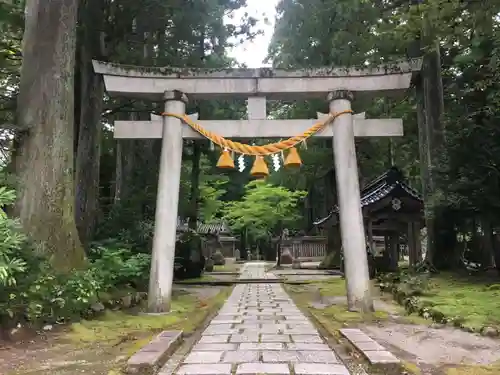 雄山神社中宮祈願殿の鳥居