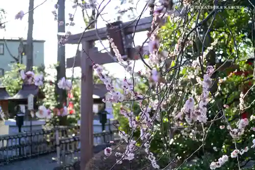 亀ケ池八幡宮のその他建物