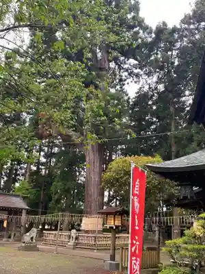 日高神社(岩手県)