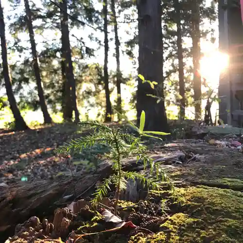 高司神社〜むすびの神の鎮まる社〜(福島県)