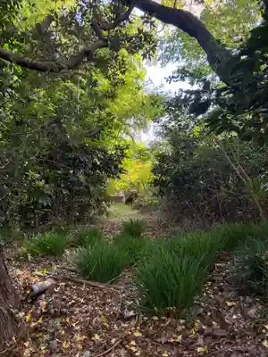 薬師堂厳島神社(千葉県)
