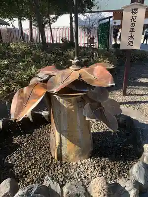 櫻木神社の手水舎