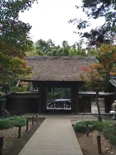 平林寺(埼玉県)