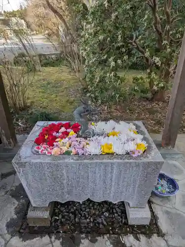 西光寺(埼玉県)