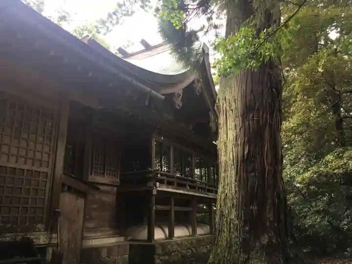 越中一宮 髙瀬神社の本殿・本堂