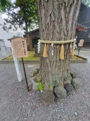 取手八坂神社(茨城県)