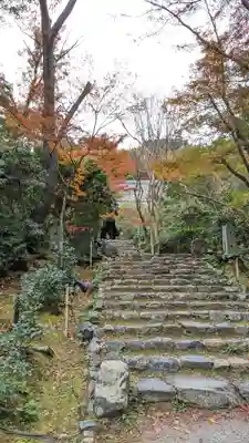 浄住寺(京都府)
