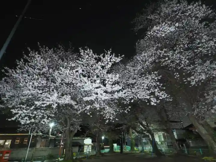 蓮久寺(千葉県)