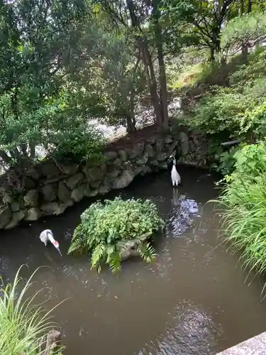 菅原神社の庭園