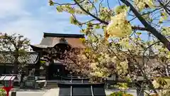 六孫王神社(京都府)