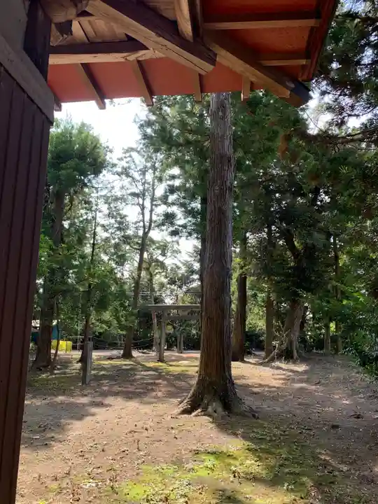 白幡神社のその他建物