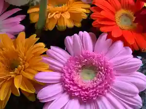 滑川神社 - 仕事と子どもの守り神(福島県)(2022年04月24日(日) 12時59分31秒投稿)