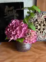 安用寺(愛知県)