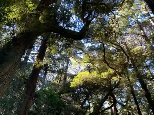 鹿島神宮(茨城県)