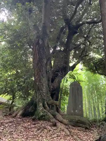 住吉神社(千葉県)
