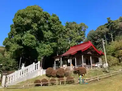 思金神社(神奈川県)