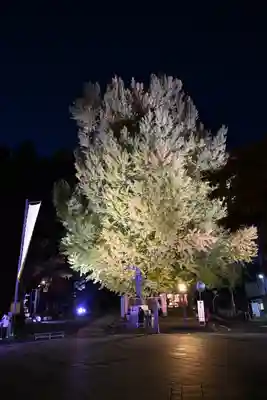 熊野大社(山形県)