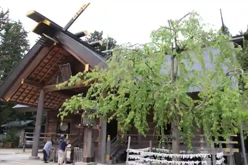 開成山大神宮の本殿・本堂