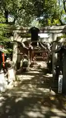 若一神社の鳥居