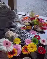 滑川神社 - 仕事と子どもの守り神の手水舎