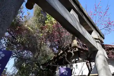 牛天神北野神社(東京都)