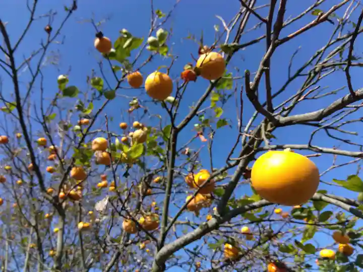 白山神社(福井県)