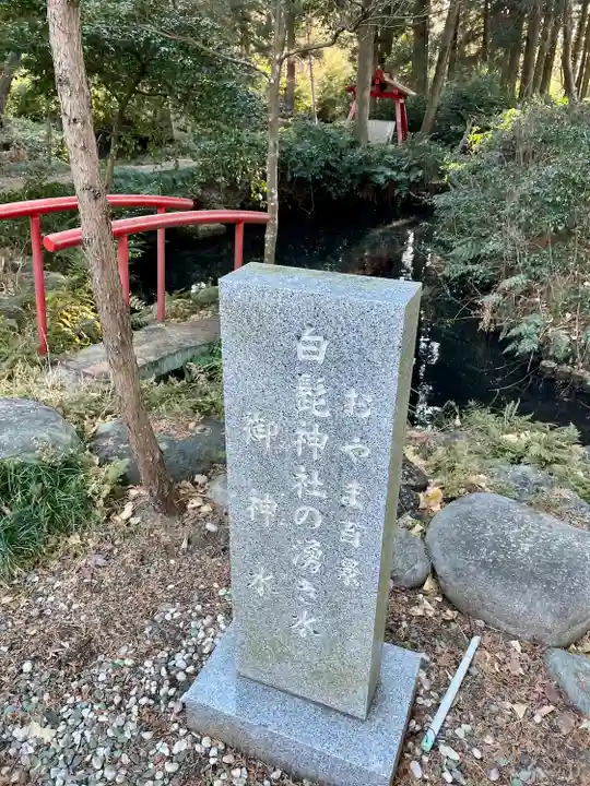 白髭神社(栃木県)