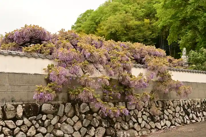 長泉寺(埼玉県)