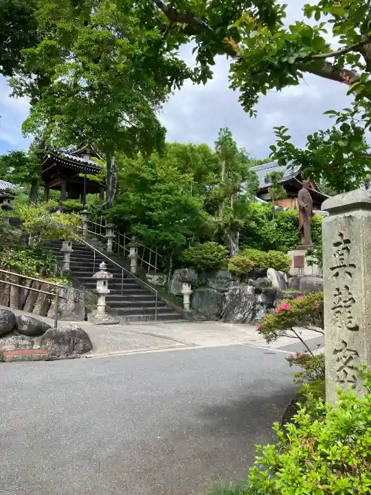 真龍寺(大阪府)