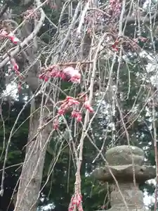 伏木香取神社(茨城県)(2023年03月23日(木) 11時29分21秒投稿)