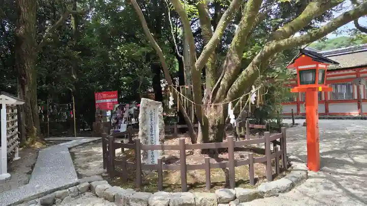 賀茂御祖神社(下鴨神社)(京都府)